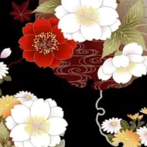 Meet your Posher, Aryahna